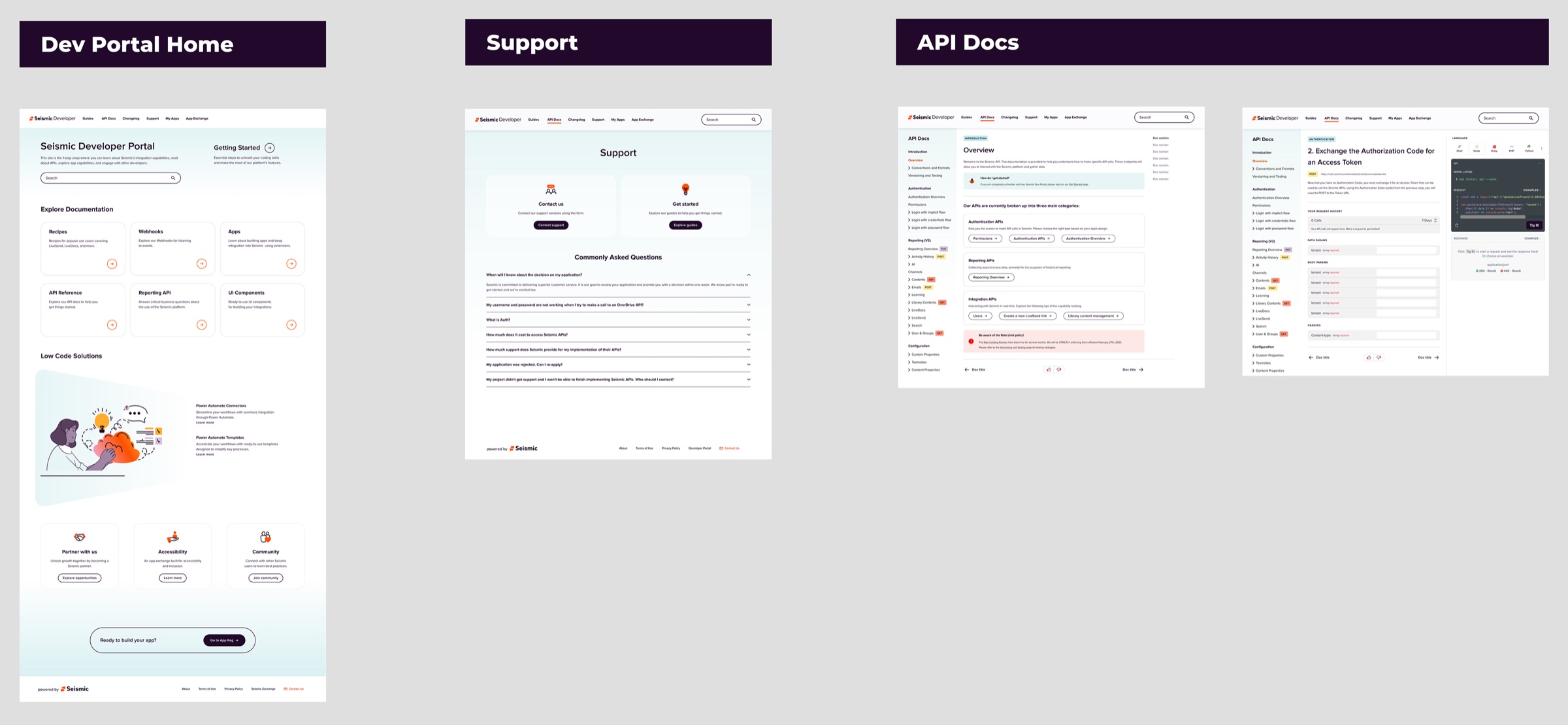 Developer Portal home, support page and API documentation shown side by side with navigation, search and an interactive API request panel